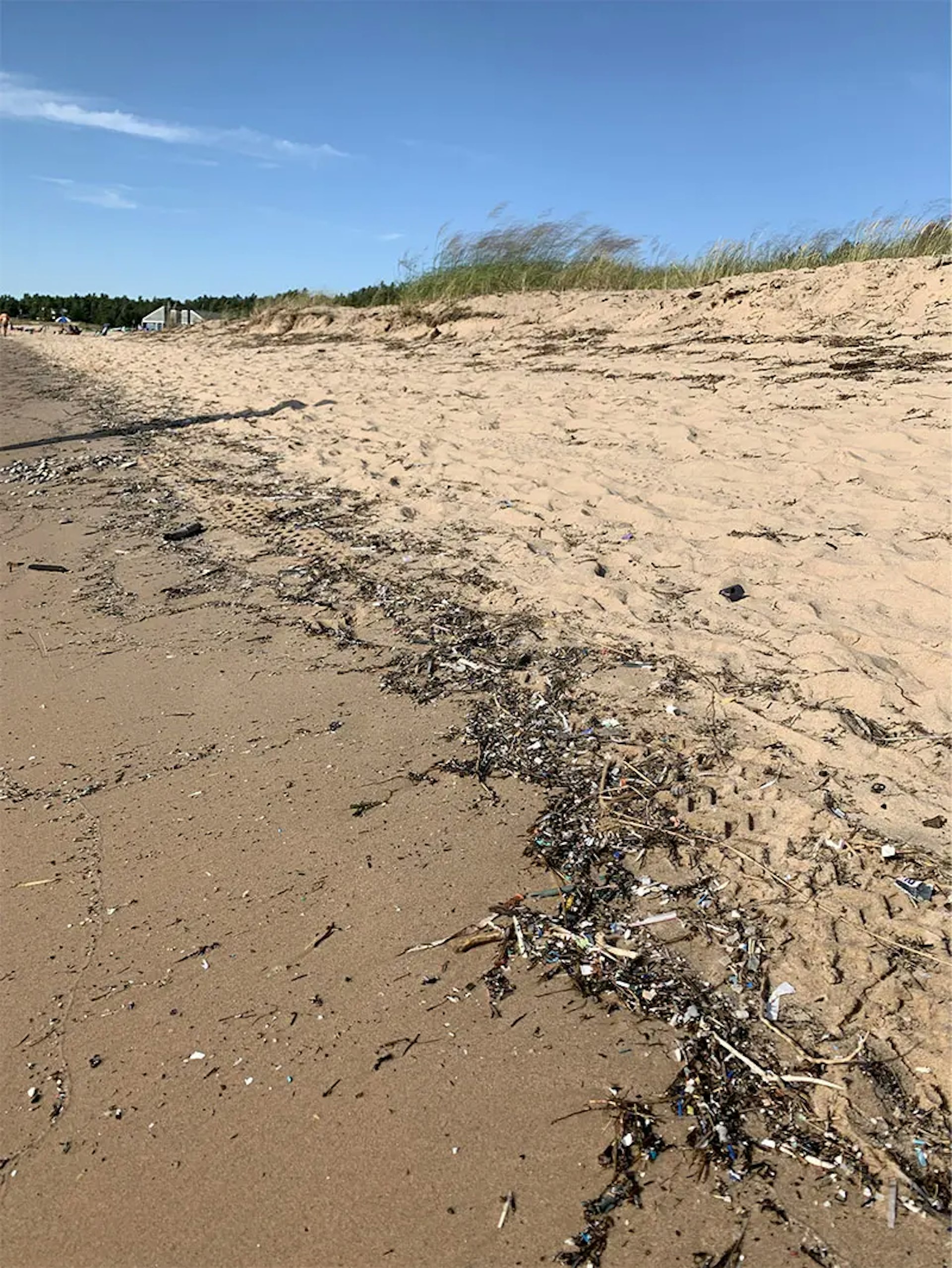 beach littered with plastics and debris