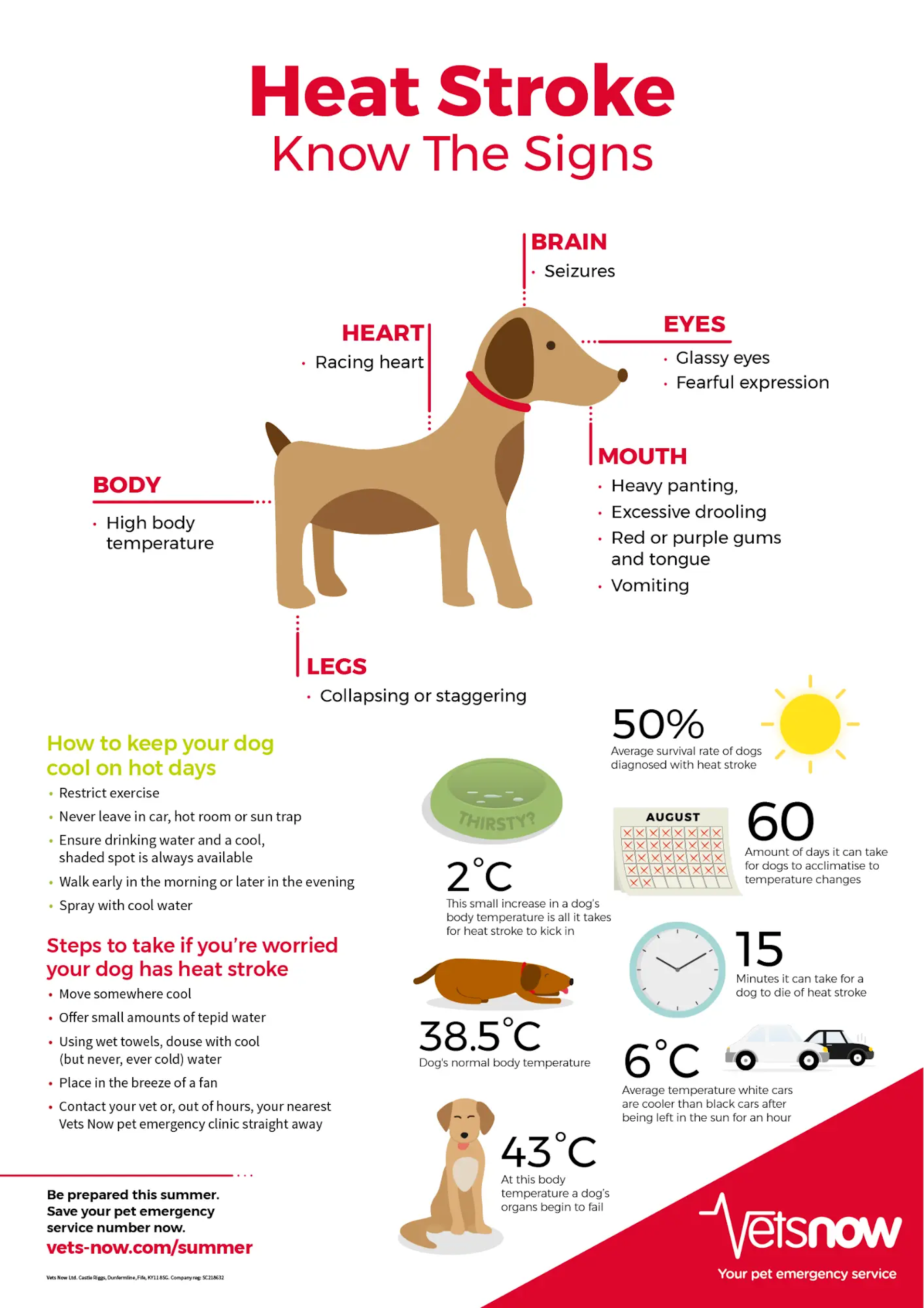heat stroke signs for pets